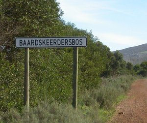 Let the Festivities Begin - Weekly Update Week 10